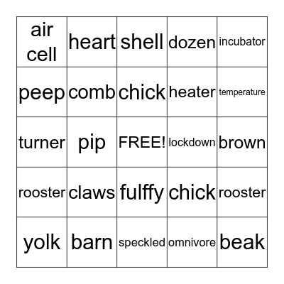 From Egg to Chick Bingo Card