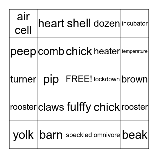 From Egg to Chick Bingo Card