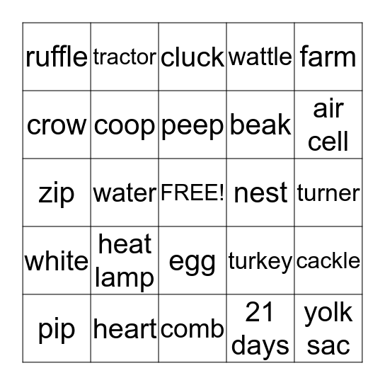 From Egg to Chick  Bingo Card