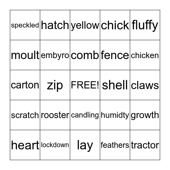From Egg to Chick Bingo Card