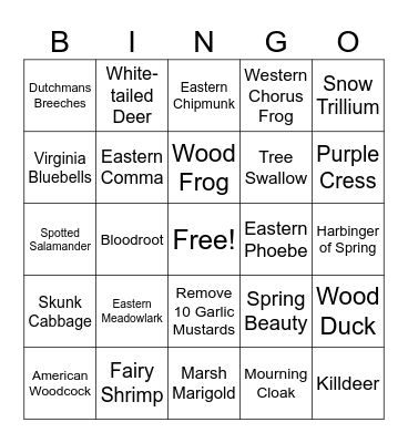 Ohio Nature-March Bingo Card