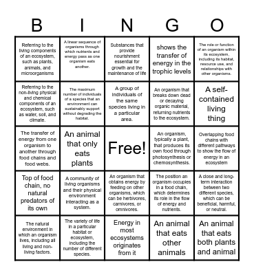 Section Vocab Bingo Card