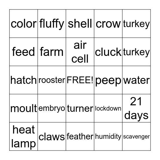 From Egg to Chick Bingo Card
