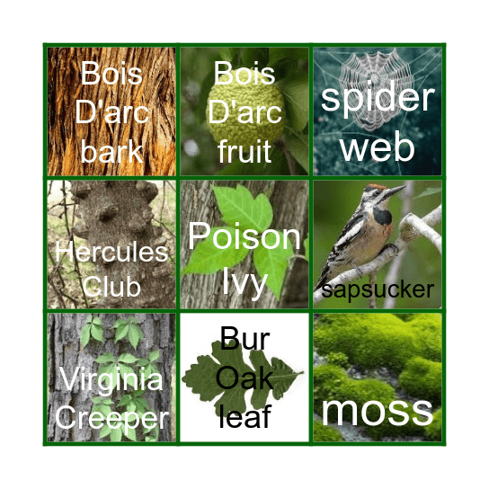 Blackland Prairie Nature Bingo Card