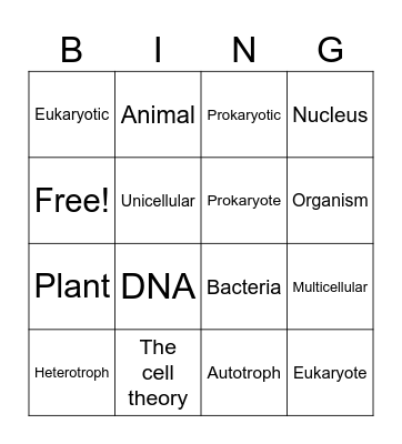 Characteristics of living things Bingo Card