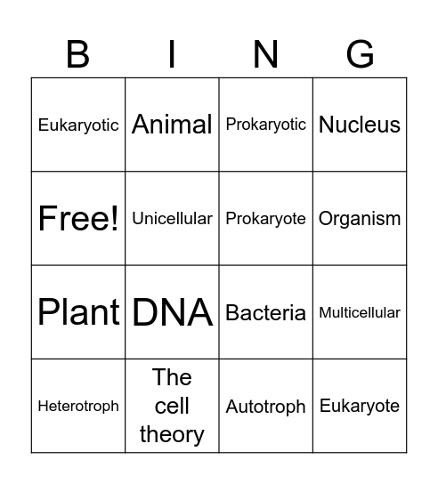Characteristics of living things Bingo Card
