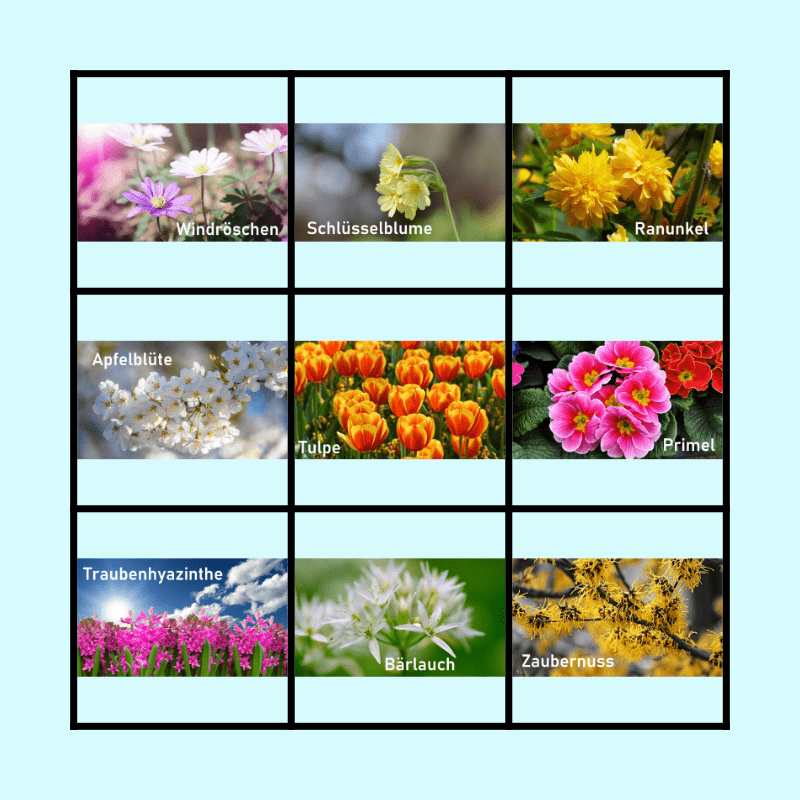 Fruhbluher Allergie Liste 1