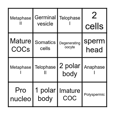 Oocyte maturation BINGO! Bingo Card
