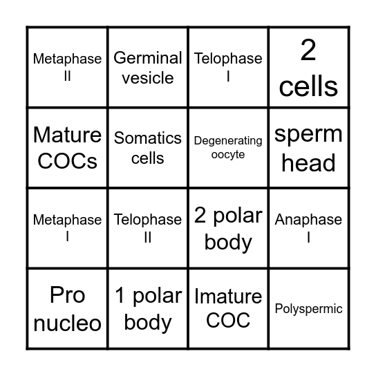 Oocyte maturation BINGO! Bingo Card