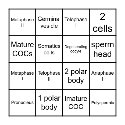 Oocyte maturation BINGO! Bingo Card