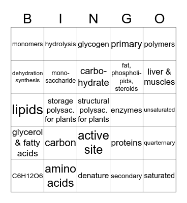 AP BIO CH 3 MACROMOLECULES Bingo Card