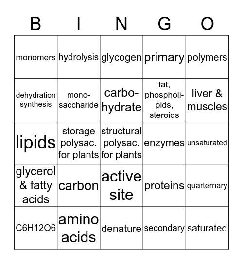 AP BIO CH 3 MACROMOLECULES Bingo Card