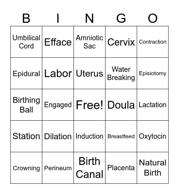 Pregnancy Terms Bingo Card