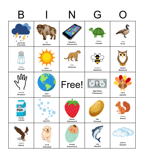 Indigenous Language Bingo Card