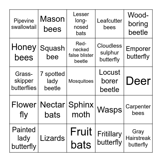 Pollinator Bingo Card
