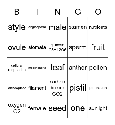 Plant and Flower Review Mitchell 2025 Bingo Card