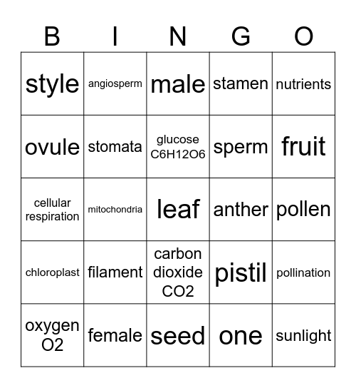Plant and Flower Review Mitchell 2025 Bingo Card