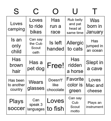 Cub Scout BINGO! Bingo Card