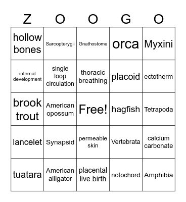 Vertebrate ZOOGO Bingo Card