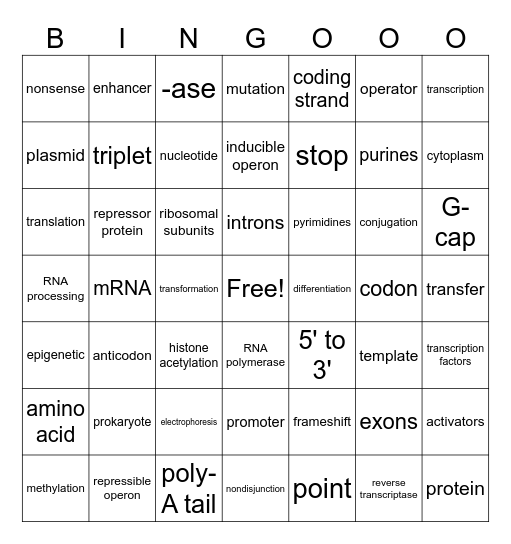 Unit 6 Review BINGO Card