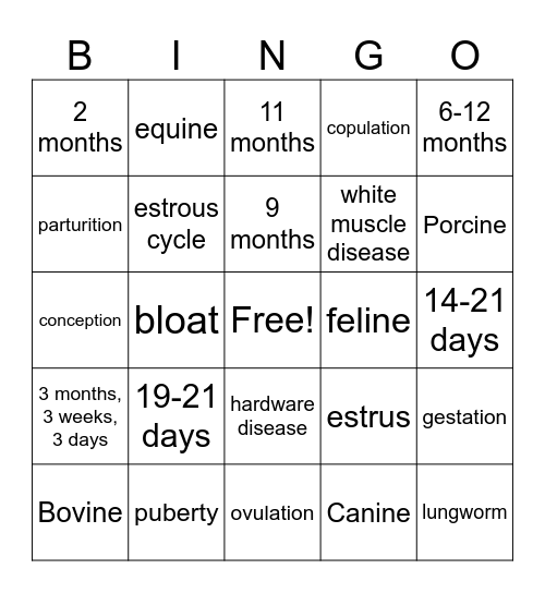 Mammals Bingo Card