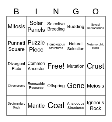 State Test Review Bingo Card