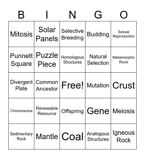 State Test Review Bingo Card