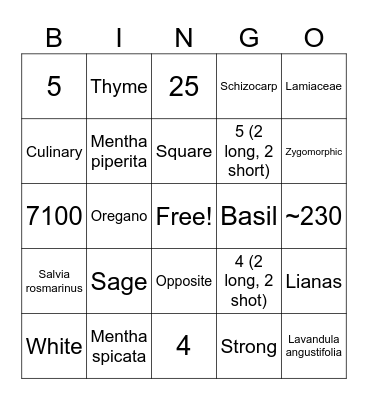 Family Lamiaceae Bingo Card