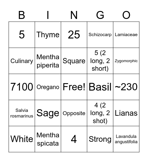 Family Lamiaceae Bingo Card
