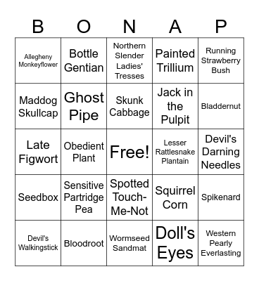 Spring Garden Day Bingo Card
