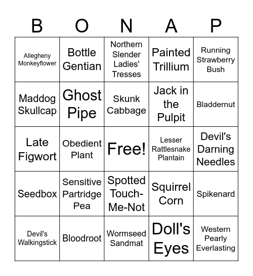 Spring Garden Day Bingo Card