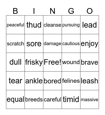 vocabulary word Bingo Card