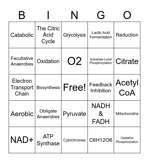 Cellular Respiration Review Bingo Card