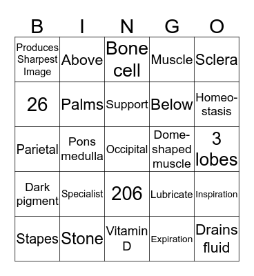 Med Term I Bingo Card