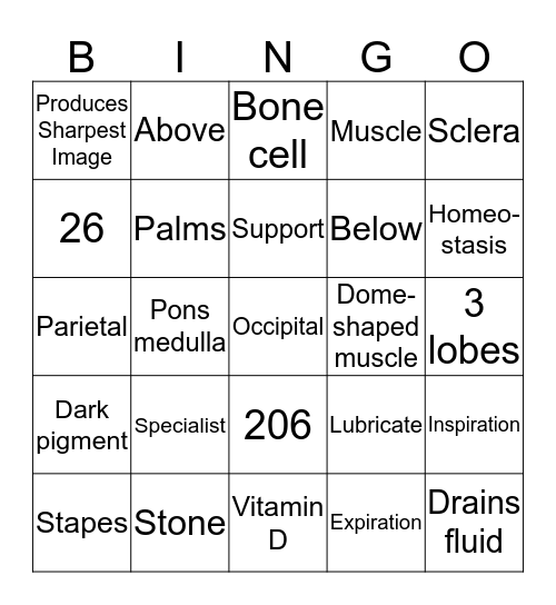 Med Term I Bingo Card