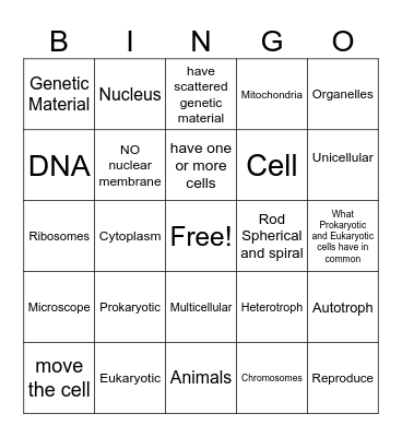 Prokaryotic and Eukaryotic Cells Bingo Card