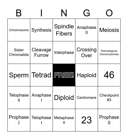 Meiosis Bingo Card