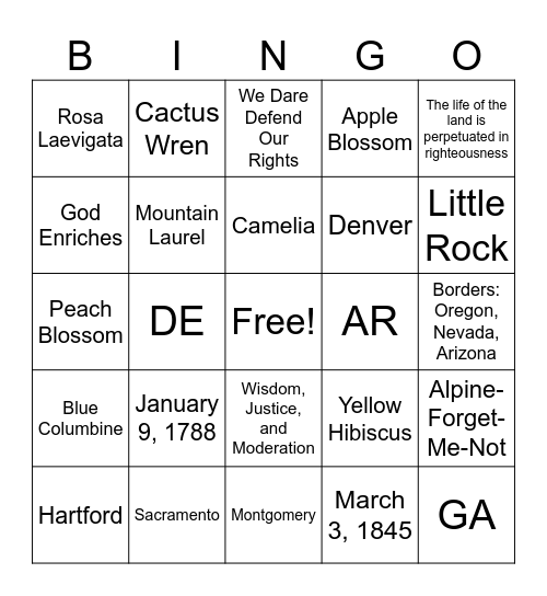 States Please Bingo Card