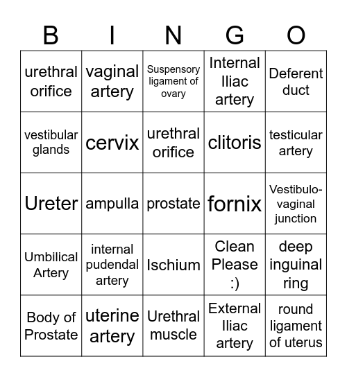 Male and Female Repro Tract Bingo Card