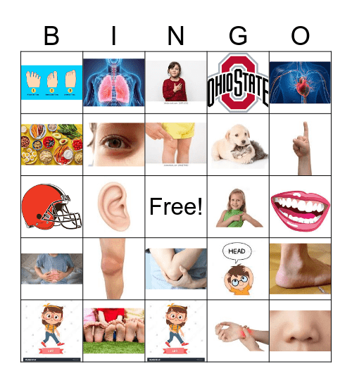 Bingo Body Part Bingo Card