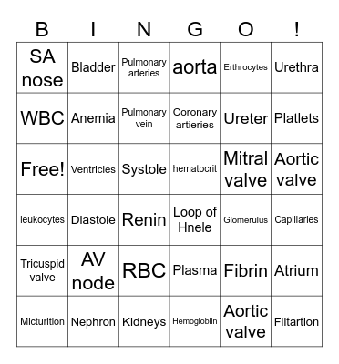 Heart, Blood, Urinary Bingo Card