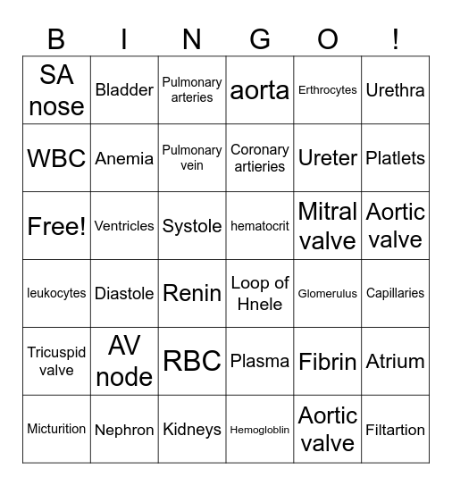 Heart, Blood, Urinary Bingo Card