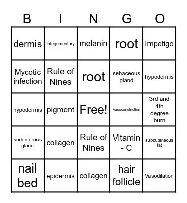 Integumentary System Bingo Card