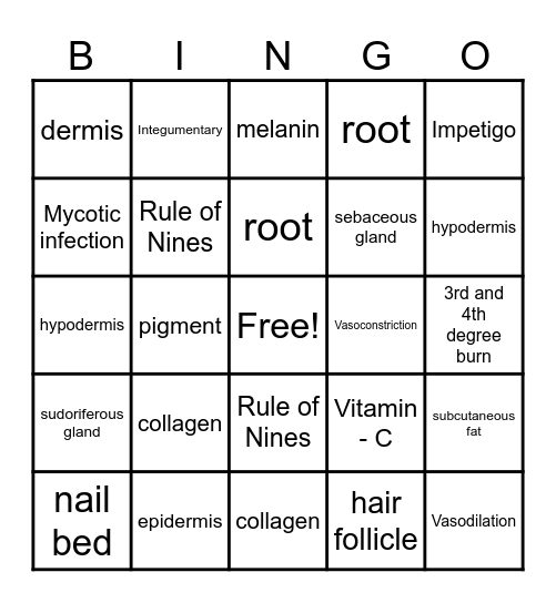 Integumentary System Bingo Card