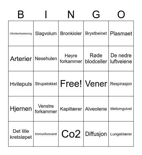 Sirkulasjonssystemet Bingo Card