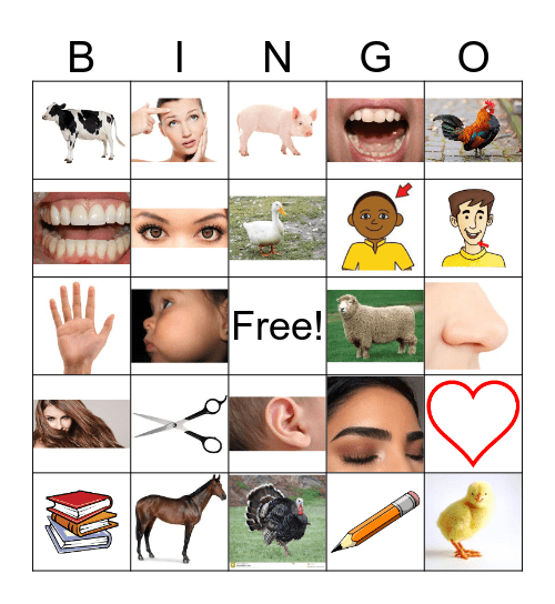 VOCAB REVIEW Bingo Card