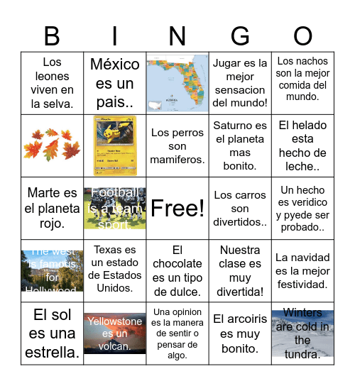 Fact and Opinion Bingo! Bingo Card