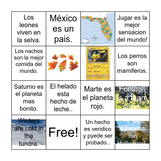 Hechos y opiniones Bingo Card