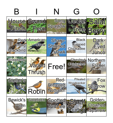 Birds and Plants Bingo! Bingo Card