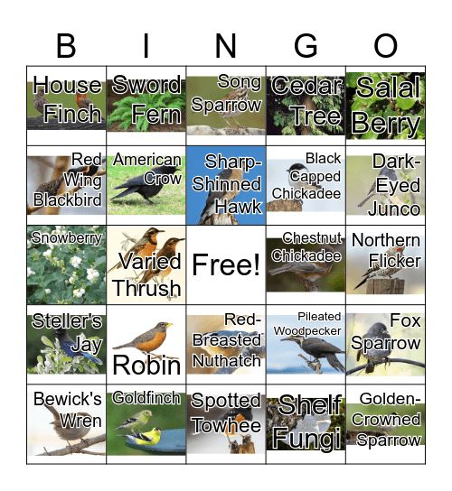 Birds and Plants Bingo! Bingo Card